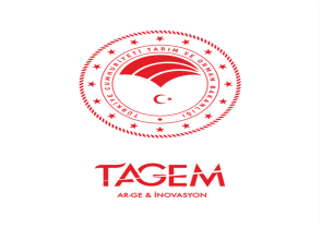 Tagem logo