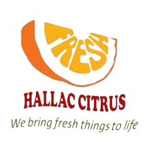 Hallac citrus logo